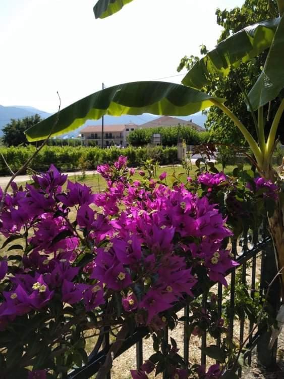 Rosegarden Villa Sami  Dış mekan fotoğraf