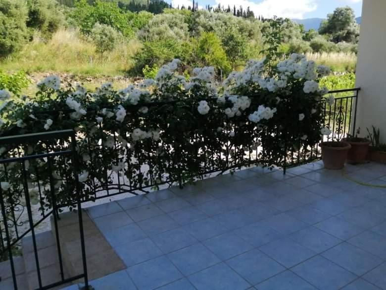 Rosegarden Villa Sami  Dış mekan fotoğraf