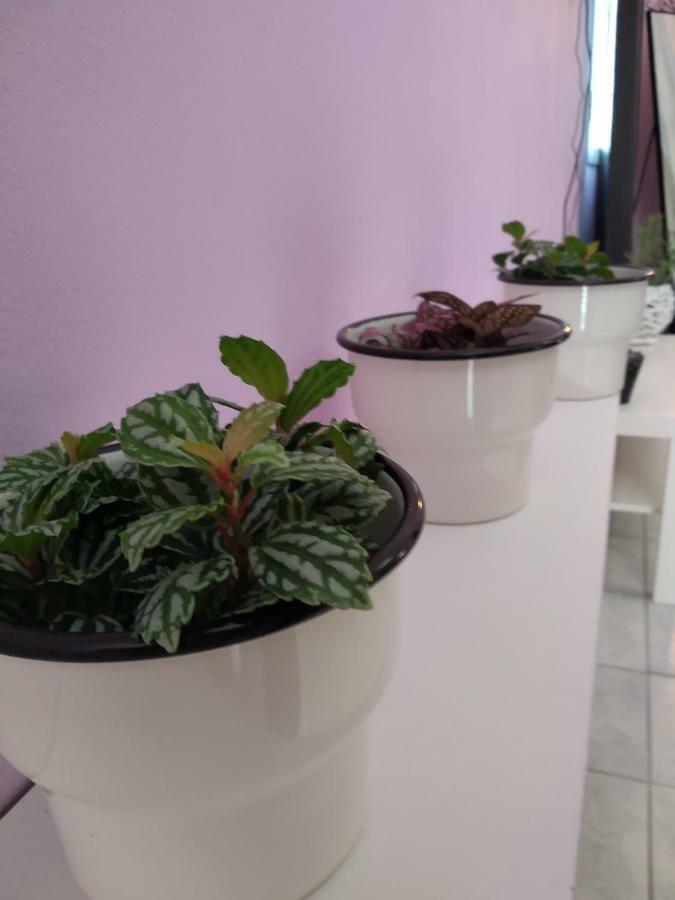 Rosegarden Villa Sami  Dış mekan fotoğraf